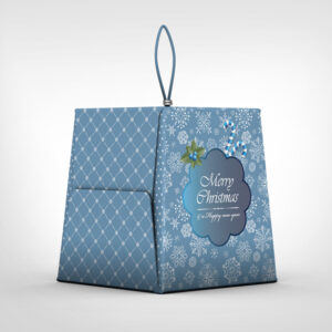 Christmas Boxes