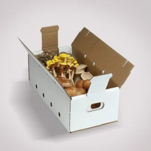 Mushroom Boxes